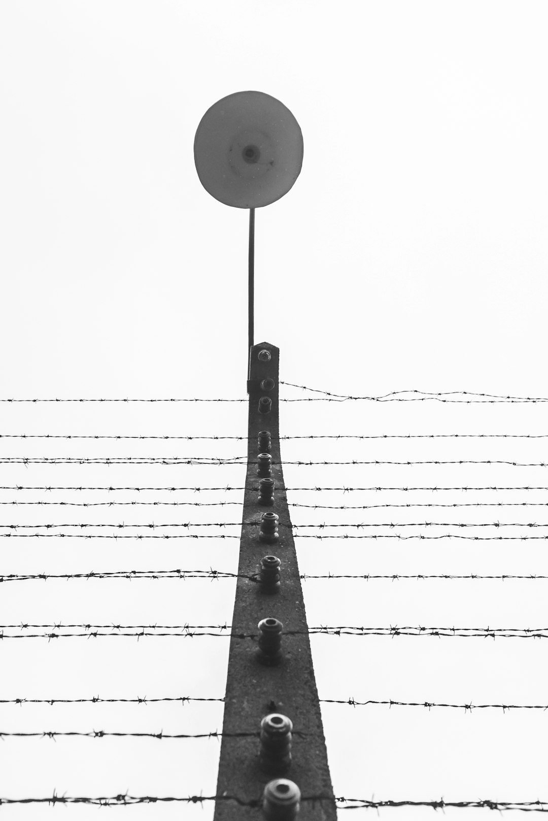 Speranta TV | 2 august, Ziua Naţională şi Ziua Europeană de comemorarea Holocaustului împotriva romilor